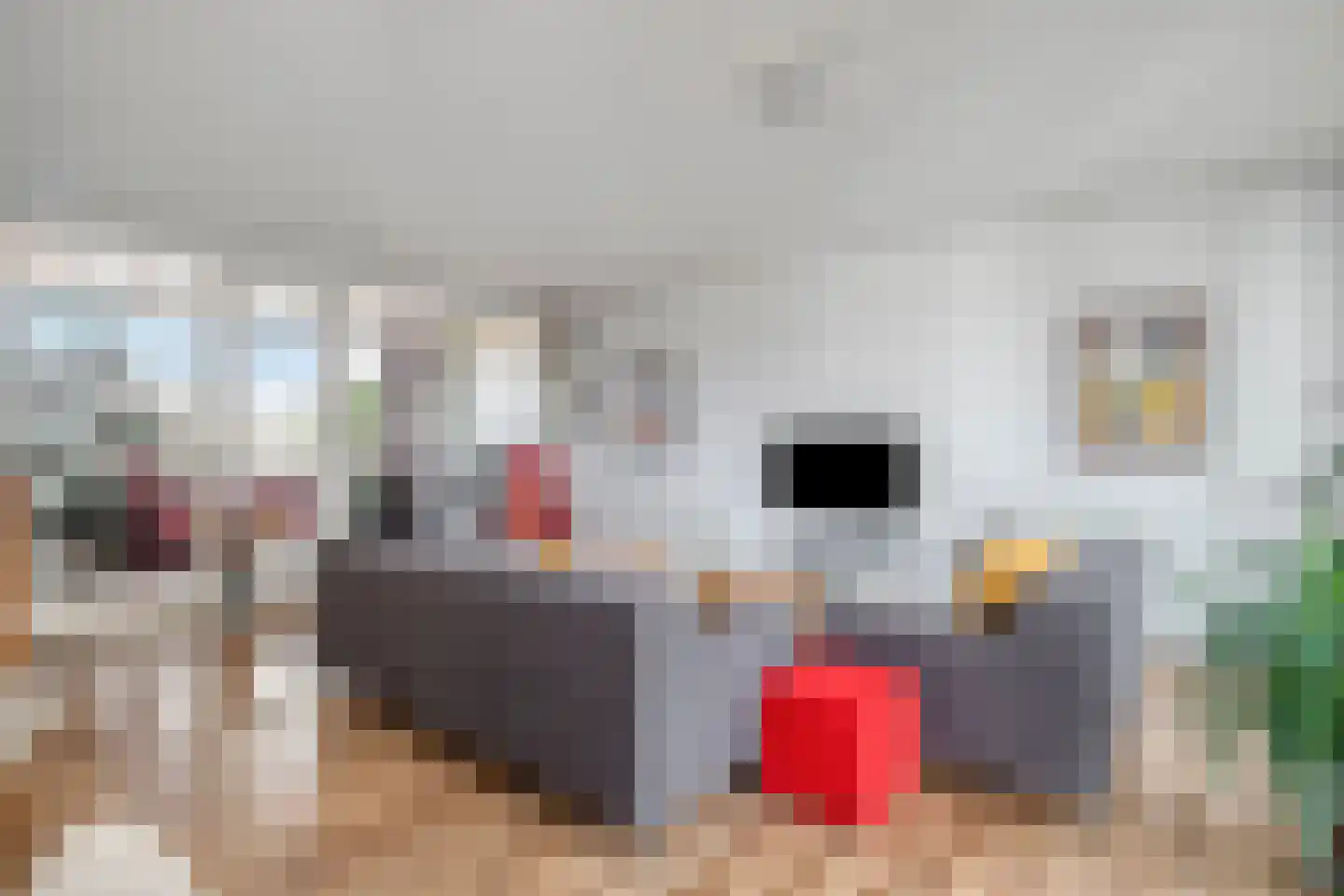 Hongarijehof 16 Almere thumbnail 18