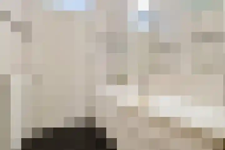 Hongarijehof 19 Almere thumbnail 15