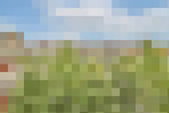Hongarijehof 19 Almere thumbnail 25