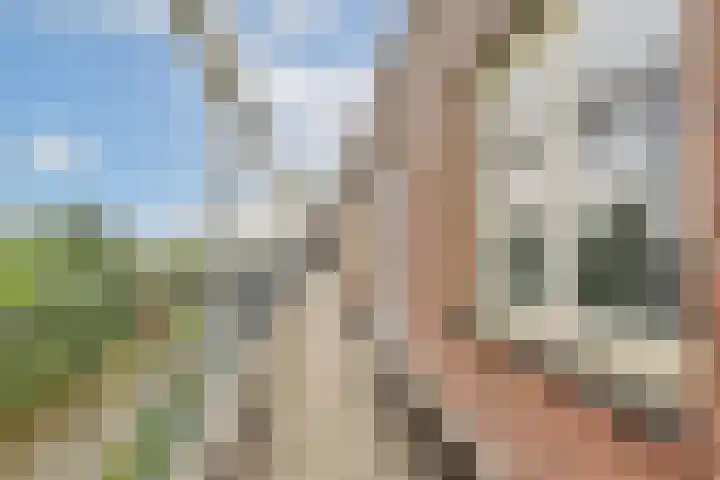 Hongarijehof 19 Almere thumbnail 26