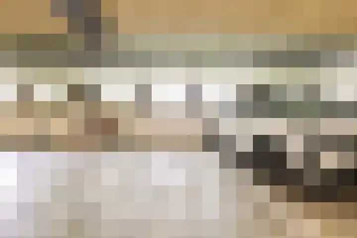 Hongarijehof 19 Almere thumbnail 27