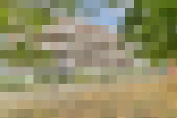 Hongarijehof 19 Almere thumbnail 31