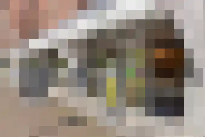 Hongarijehof 19 Almere thumbnail 34