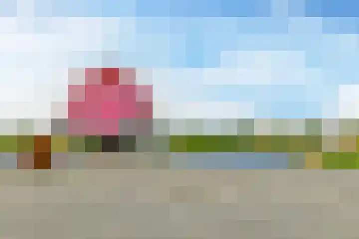 Hongarijehof 19 Almere thumbnail 36