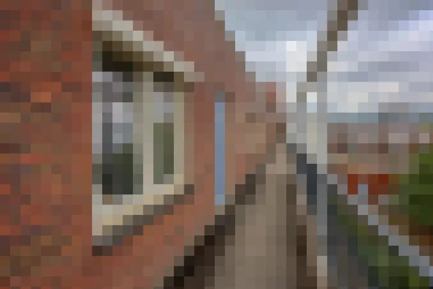 Hongarijehof 21 Almere thumbnail 36