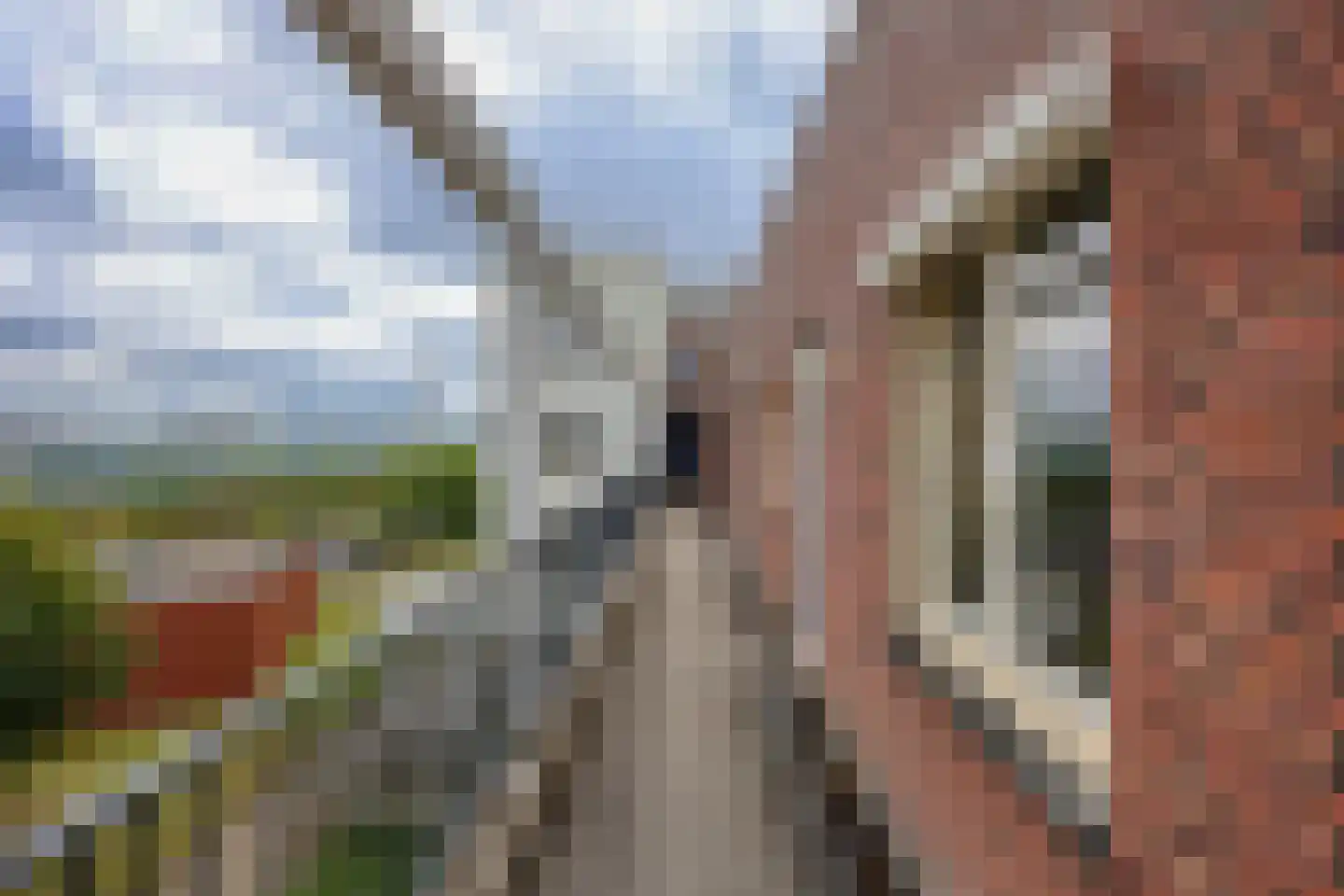 Hongarijehof 21 Almere thumbnail 37