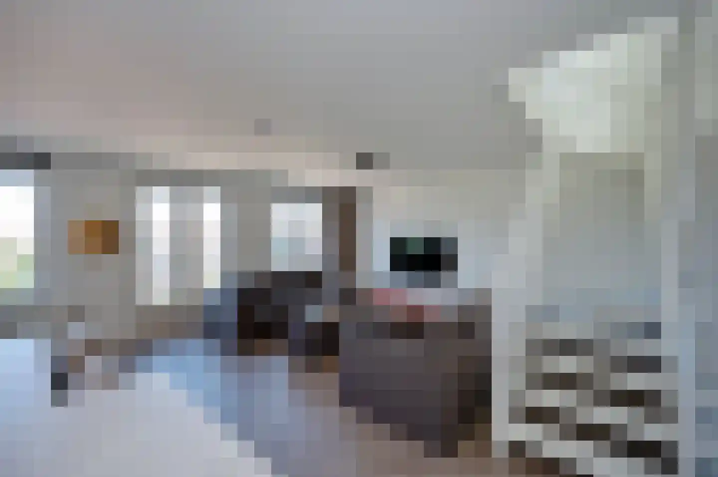 Hongarijehof 22 Almere thumbnail 15