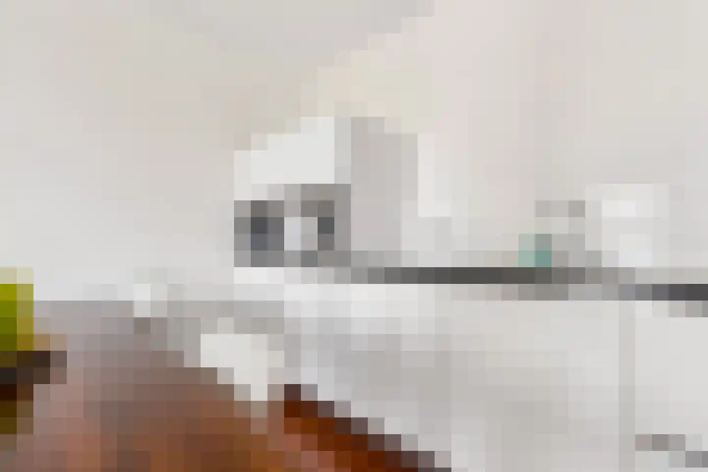 Hongarijehof 52 Almere thumbnail 18