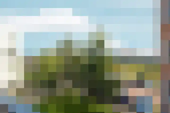 Hongarijehof 55 Almere thumbnail 25