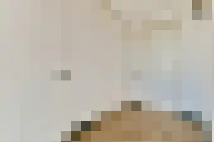 Hongarijehof 61 Almere thumbnail 5