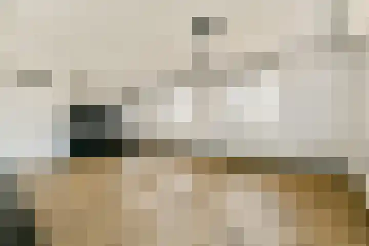 Hongarijehof 61 Almere thumbnail 7