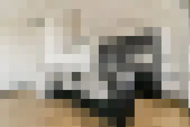Hongarijehof 61 Almere thumbnail 8