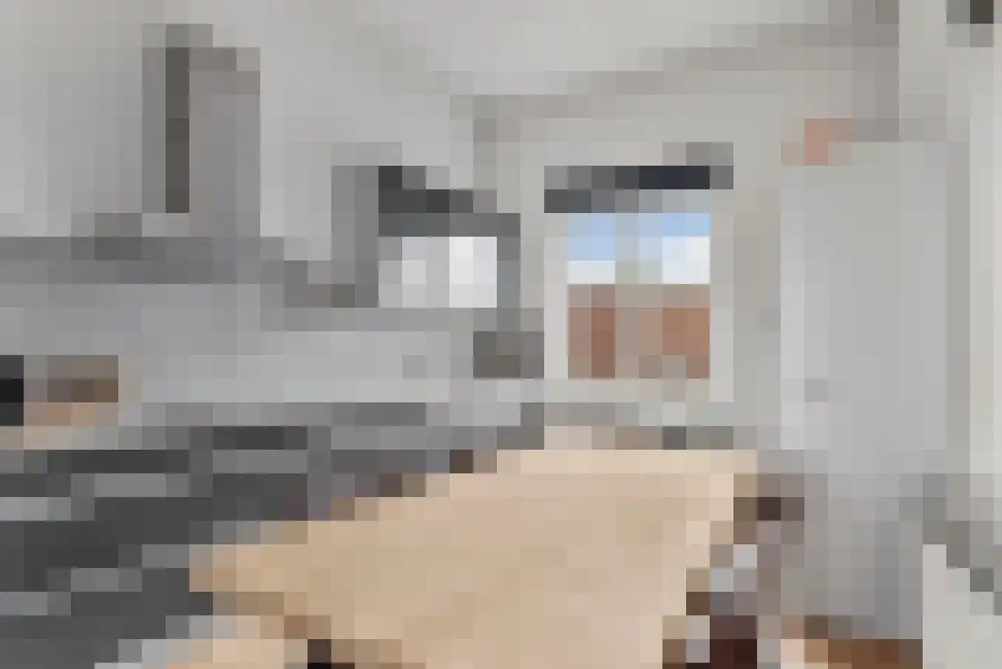 Hongarijehof 8 Almere thumbnail 13