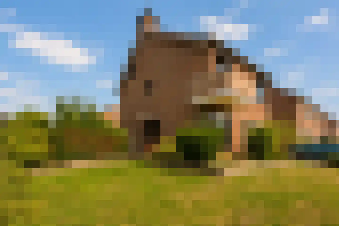 Hongerbeekstraat 19 Voerendaal thumbnail 31