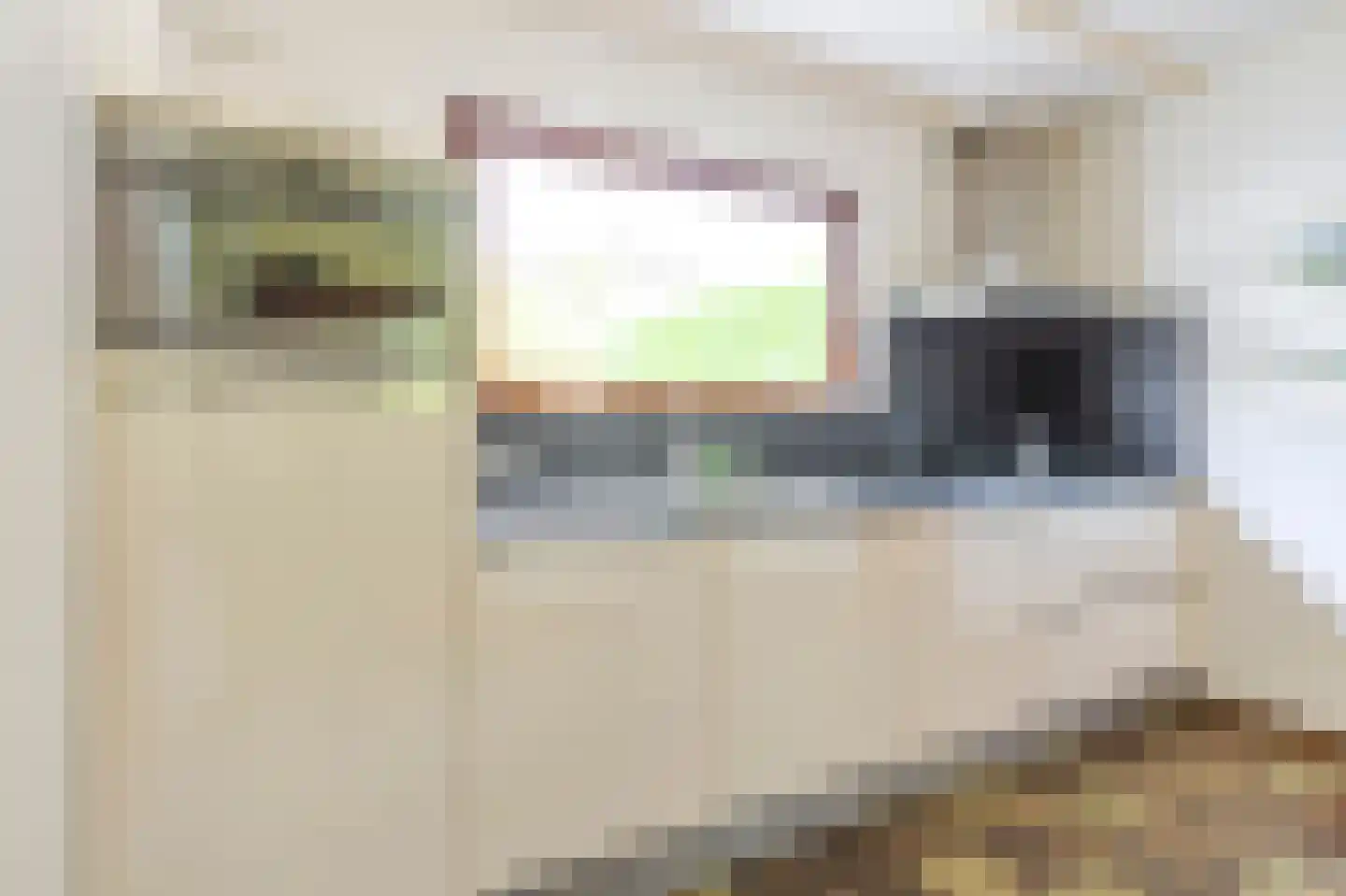 Hongerbeekstraat 64 Voerendaal thumbnail 10