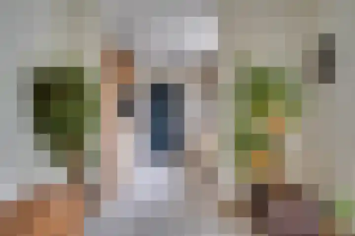 Hongerberg 20 Veldhoven thumbnail 12