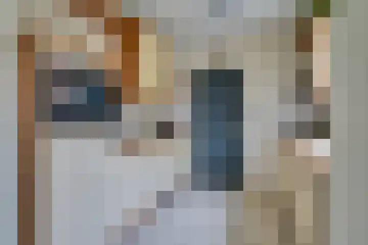 Hongerberg 20 Veldhoven thumbnail 13