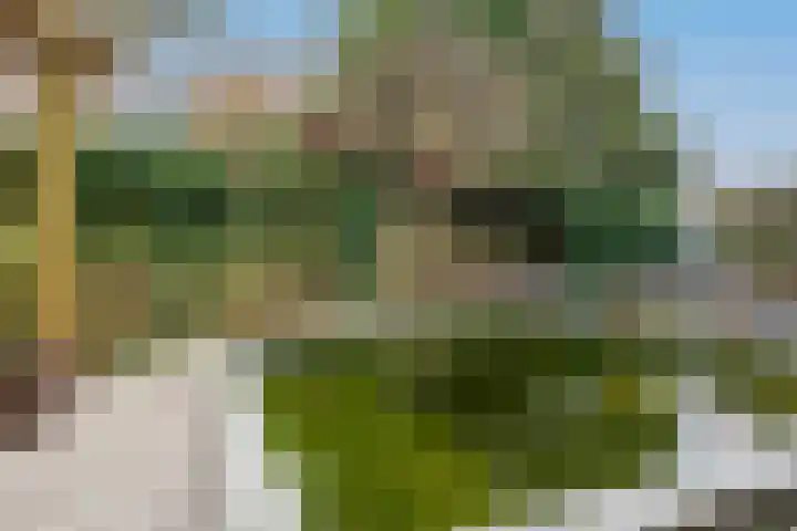 Hongerberg 20 Veldhoven thumbnail 34