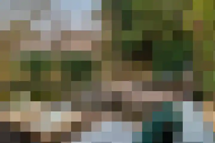 Hongerberg 20 Veldhoven thumbnail 37