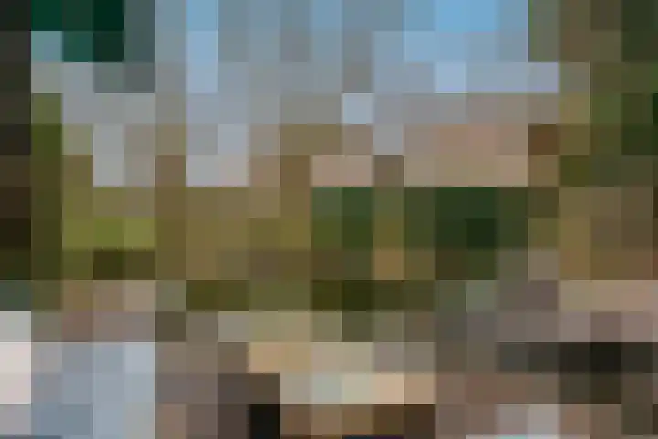 Hongerberg 20 Veldhoven thumbnail 38