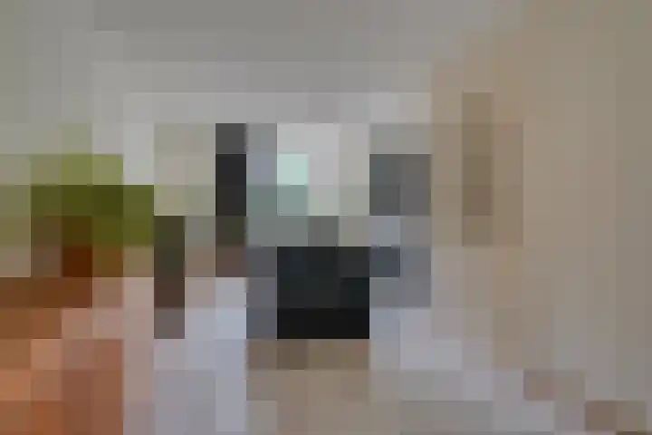 Hongerberg 20 Veldhoven thumbnail 6