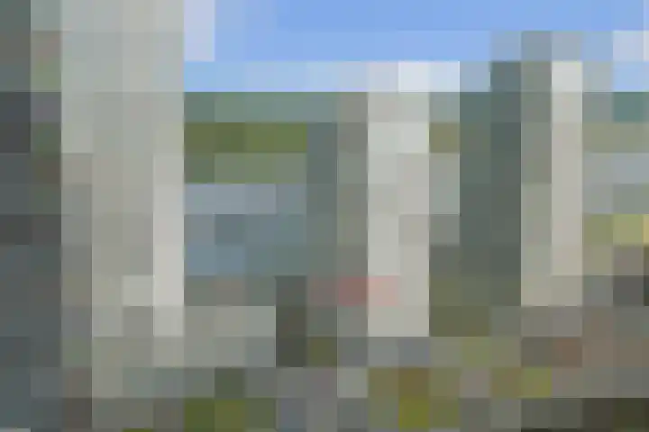 Hongerlandsedijk 1194 Spijkenisse thumbnail 18