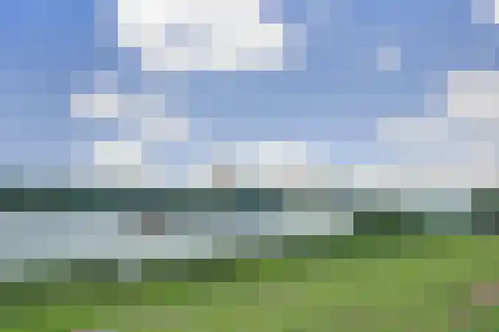Hongerlandsedijk 1194 Spijkenisse thumbnail 21