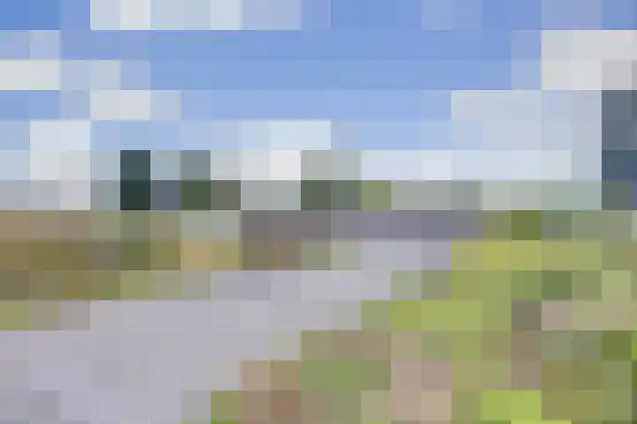 Hongerlandsedijk 1194 Spijkenisse thumbnail 22