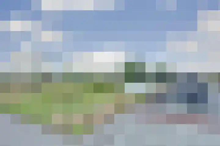 Hongerlandsedijk 1194 Spijkenisse thumbnail 23