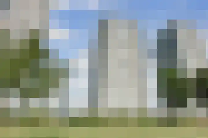 Hongerlandsedijk 1194 Spijkenisse thumbnail 27