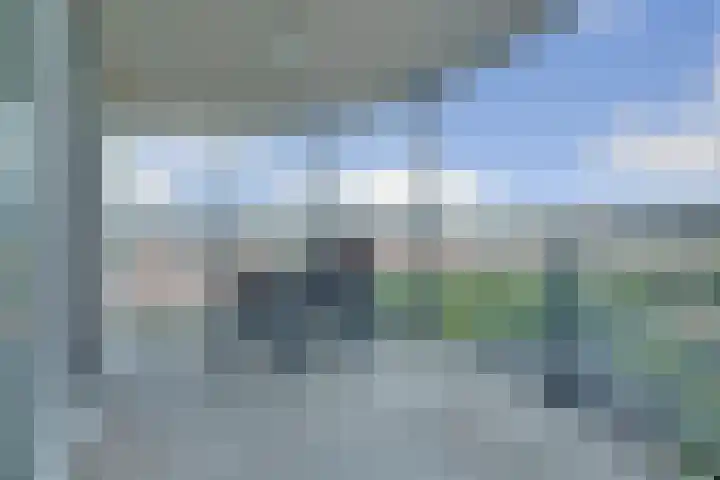 Hongerlandsedijk 1194 Spijkenisse thumbnail 7