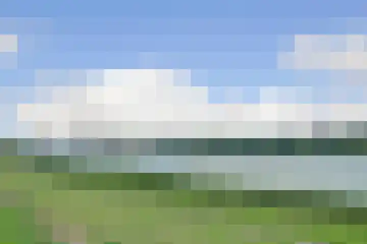 Hongerlandsedijk 1194 Spijkenisse thumbnail 9