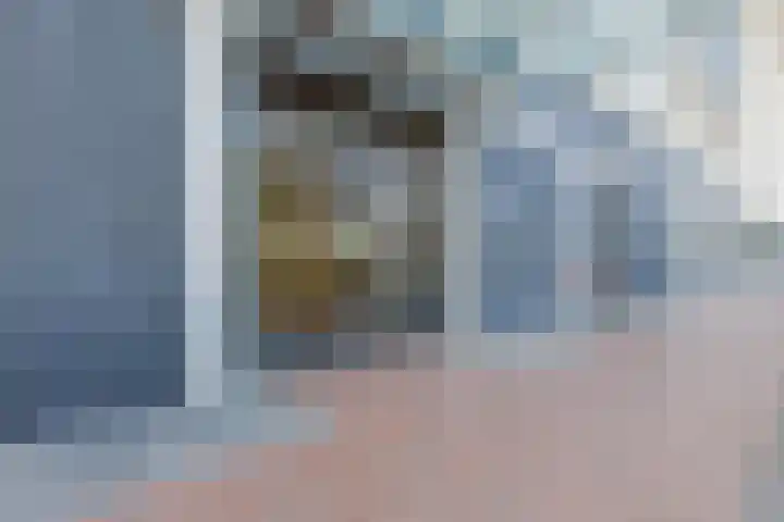 Hongerlandsedijk 1360 Spijkenisse thumbnail 10