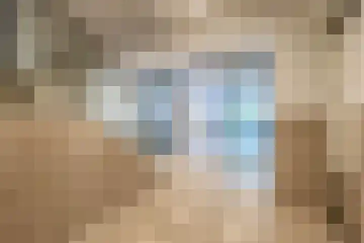 Hongerlandsedijk 1360 Spijkenisse thumbnail 13