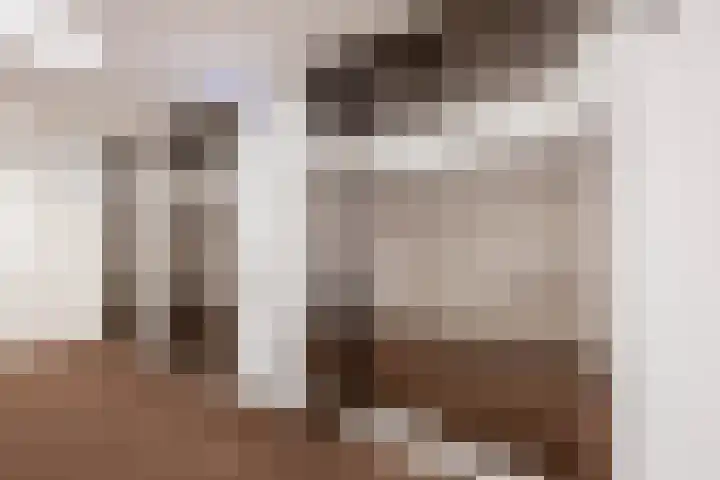 Hongerlandsedijk 1360 Spijkenisse thumbnail 14