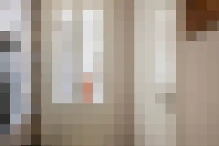 Hongerlandsedijk 1360 Spijkenisse thumbnail 16