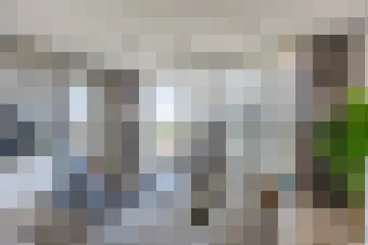 Hongerlandsedijk 1360 Spijkenisse thumbnail 17