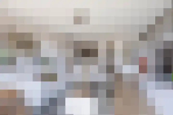 Hongerlandsedijk 1360 Spijkenisse thumbnail 19