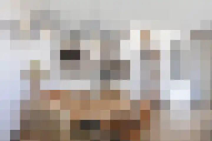 Hongerlandsedijk 1360 Spijkenisse thumbnail 21