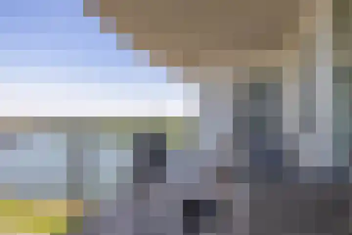 Hongerlandsedijk 1360 Spijkenisse thumbnail 26