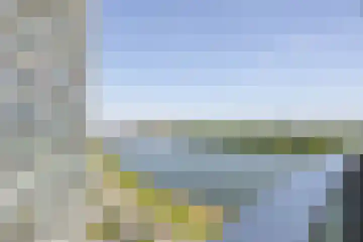 Hongerlandsedijk 1360 Spijkenisse thumbnail 27