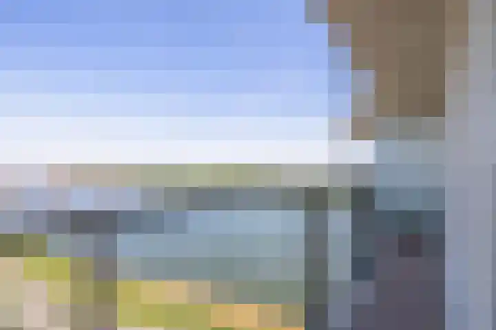 Hongerlandsedijk 1360 Spijkenisse thumbnail 28