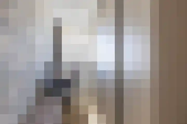 Hongerlandsedijk 1360 Spijkenisse thumbnail 37