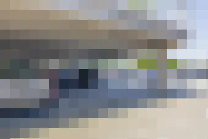 Hongerlandsedijk 1360 Spijkenisse thumbnail 38