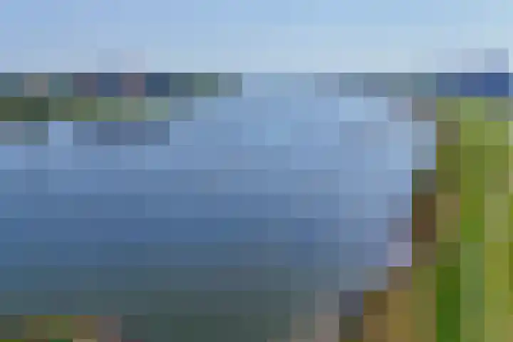 Hongerlandsedijk 1360 Spijkenisse thumbnail 5