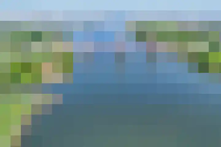 Hongerlandsedijk 1360 Spijkenisse thumbnail 6