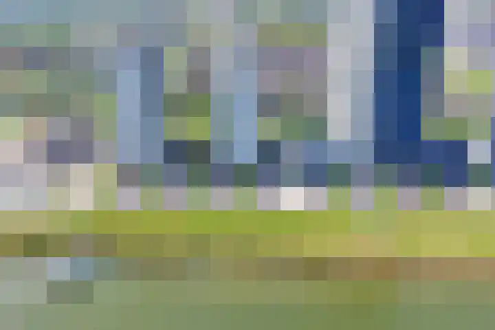 Hongerlandsedijk 1360 Spijkenisse thumbnail 8