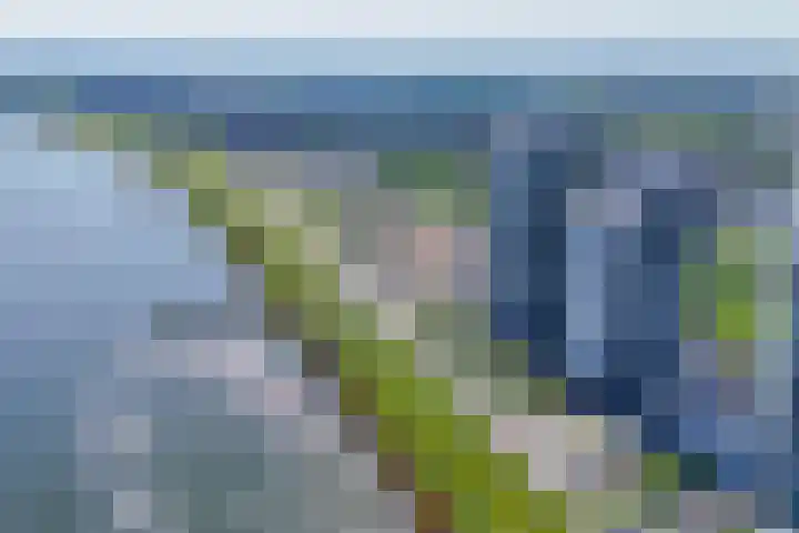 Hongerlandsedijk 1360 Spijkenisse thumbnail 9