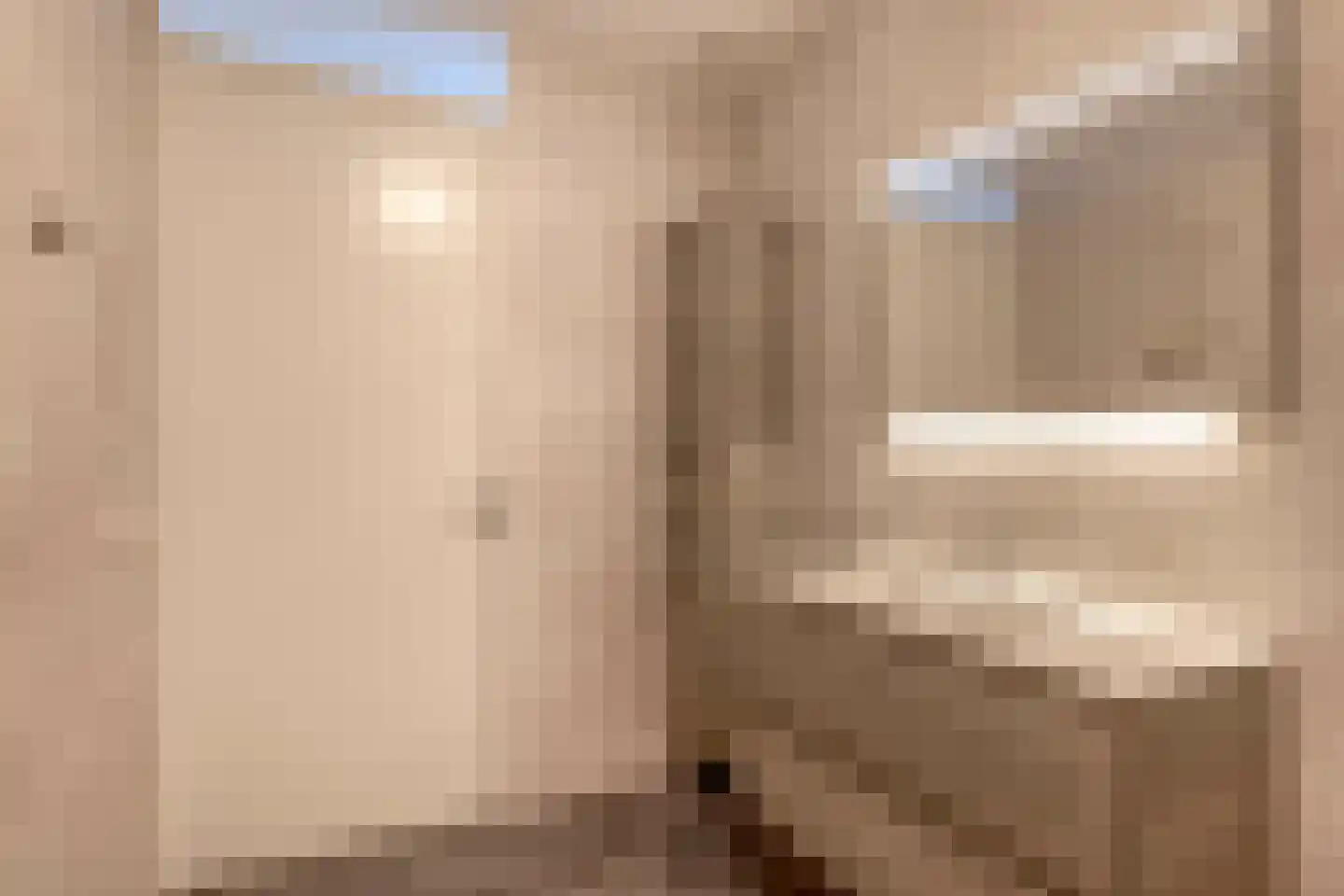 Hongerlandsedijk 1414 Spijkenisse thumbnail 22