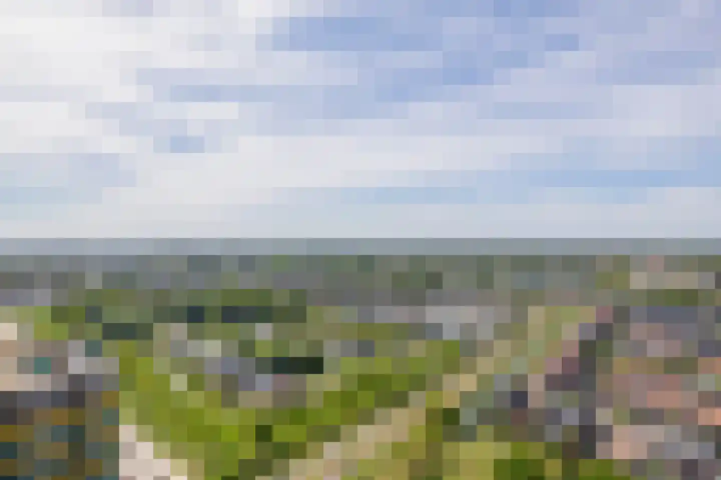 Hongerlandsedijk 1414 Spijkenisse thumbnail 39